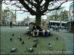 Feed the Birds        